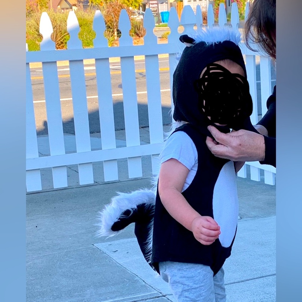 Baby Skunk Costume